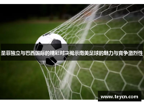 圣菲独立与巴西国际的精彩对决揭示南美足球的魅力与竞争激烈性